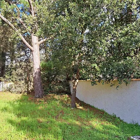 Maison De Vacances 3 Chambres Proche Plage Avec Terrasse Et Jardin A Saint Jean De Monts - Fr-1-323-252 Holiday home