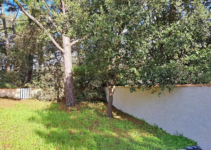 Charmante Maison 3 - 6 Personnes - Proche - Fr-1-323-252 Holiday home